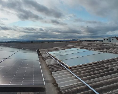 WhatsApp Image 2023-03-29 at 07.24.16