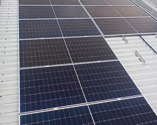 WhatsApp Image 2023-03-30 at 11.56.35 (1)